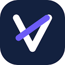 VibeX IT Solutions Favicon